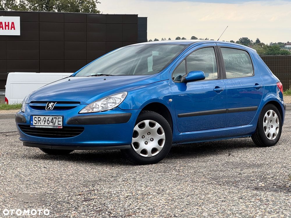 Peugeot 307 1.6 - 9