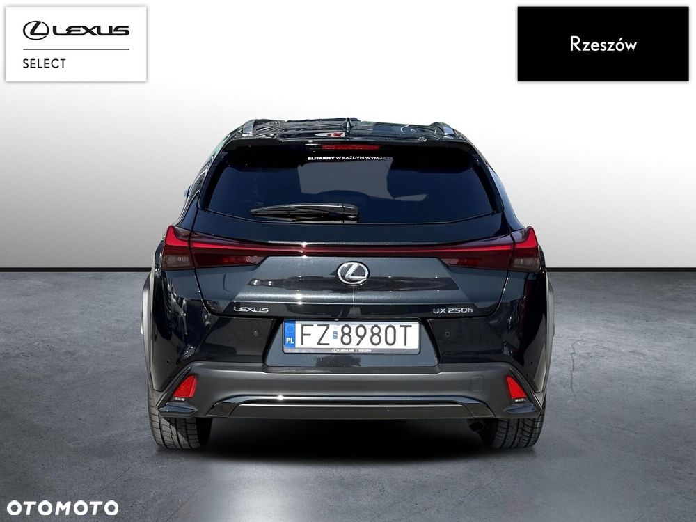 Lexus UX 250h GPF F Sport Design 2WD - 4