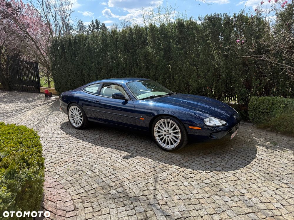 Jaguar XK8 - 1