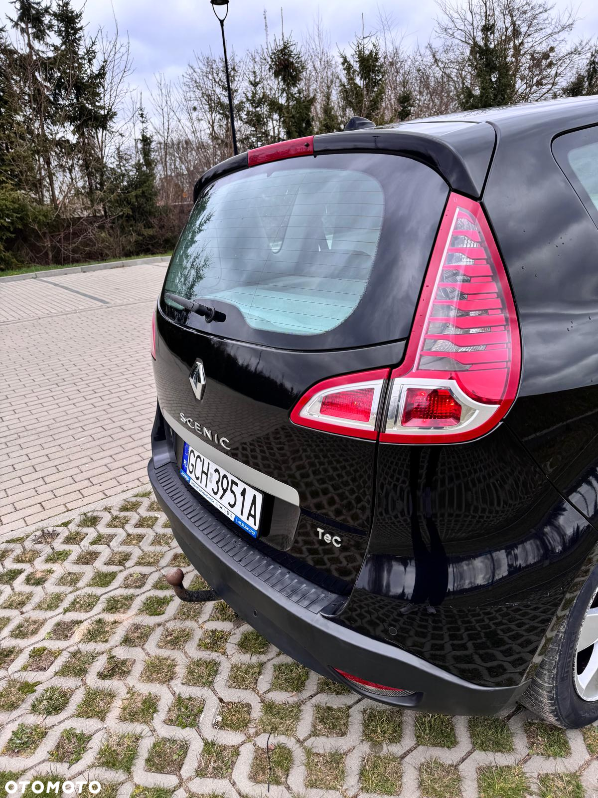 Renault Scenic - 18