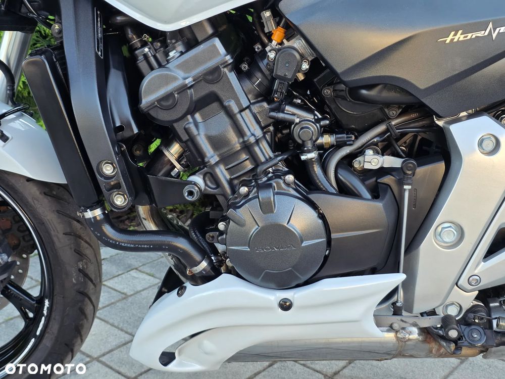 Honda Hornet - 23