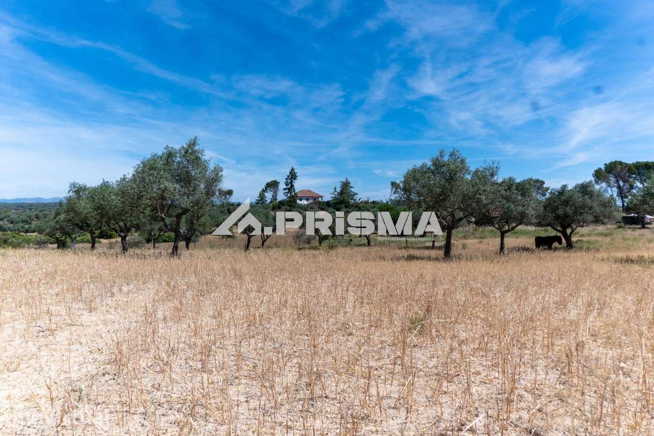 Herdade para Venda em Castelo Branco - Grande imagem: 2/60