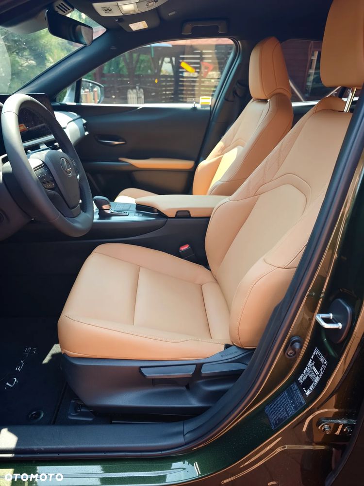 Lexus UX - 14