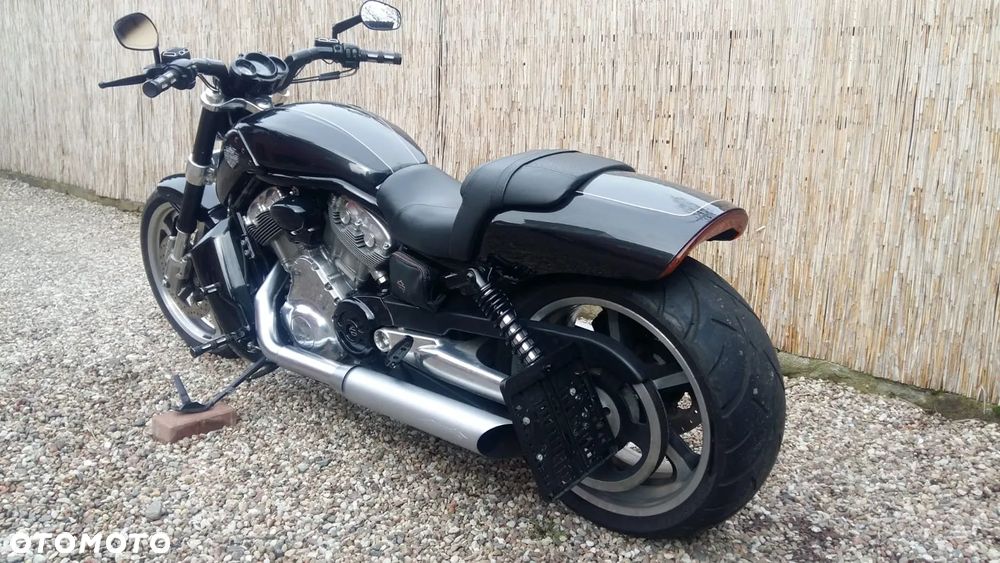 Harley-Davidson V-Rod Muscle - 2