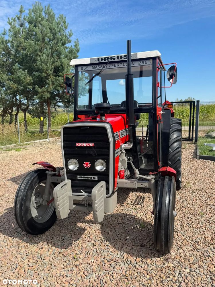 Ursus MF 255 - 2