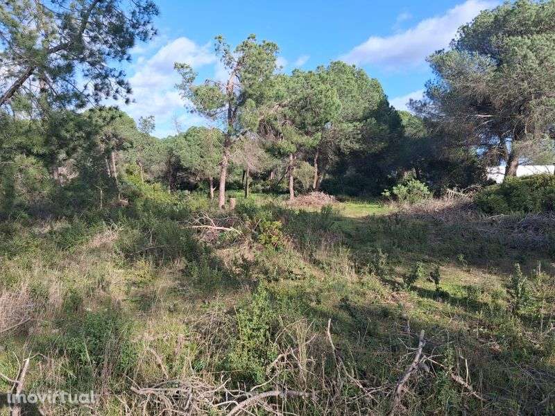 Terreno Rústico em Santa Bárbara De Nexe, com vista mar. . - Grande imagem: 2/7