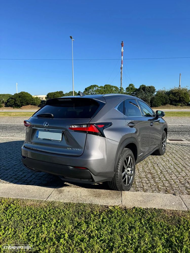 Lexus NX 300h Executive Plus - 4
