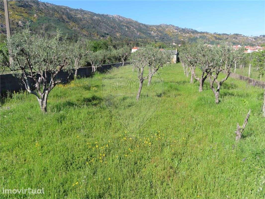 Quinta  para venda - Grande imagem: 3/42