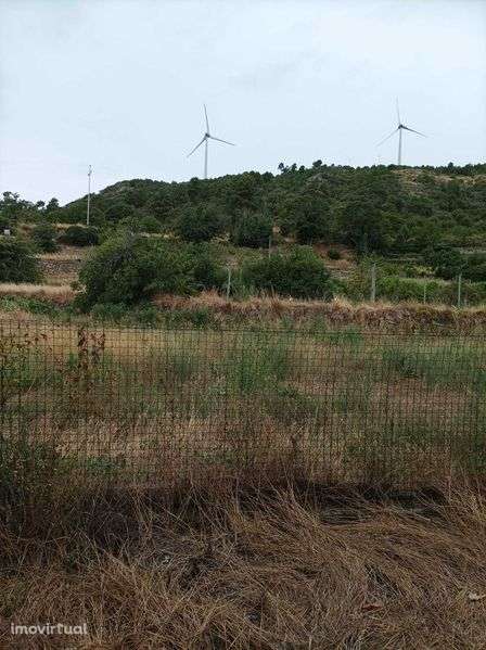 Moradia em vila centenária.
Moradia e comercio. - Grande imagem: 5/7