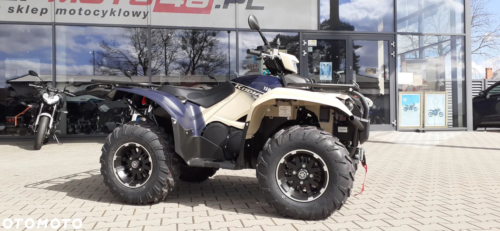 Yamaha Kodiak - 1