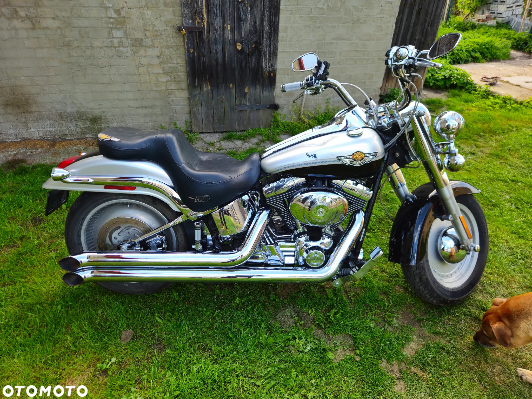 Harley-Davidson FLH Shovelhead - 5