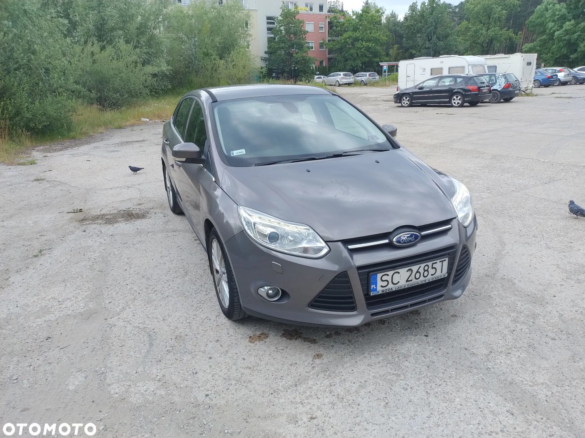 Ford Focus - 1
