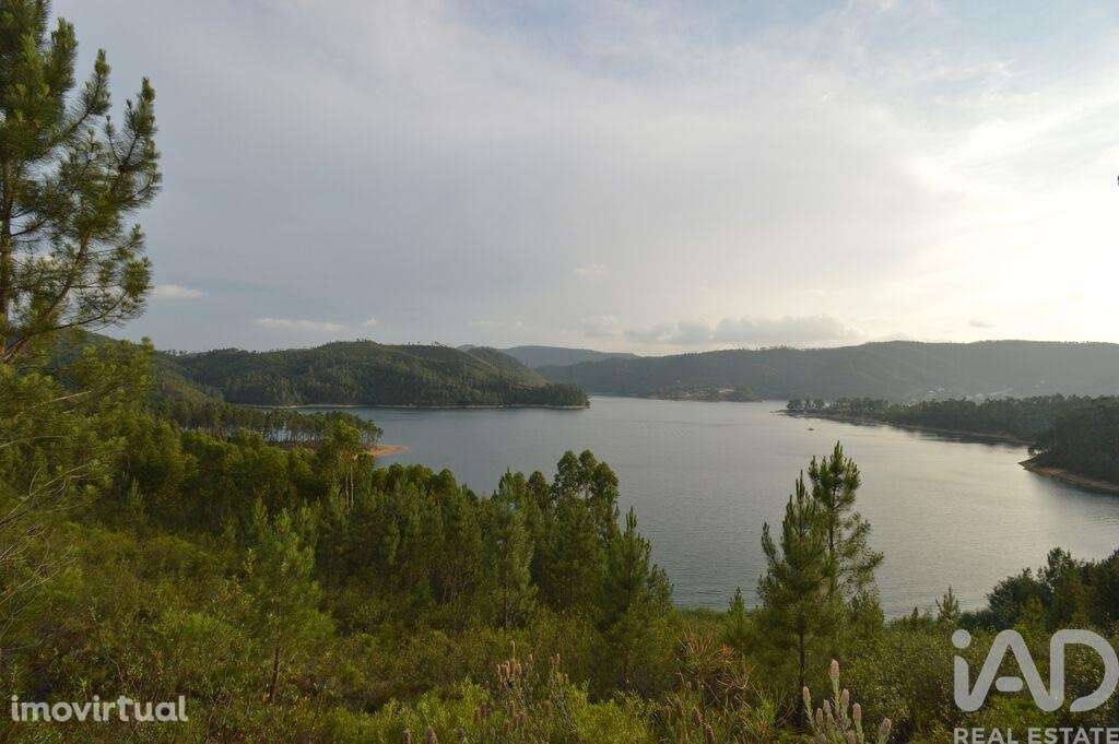 Terreno em Sertã de 9450,00 m2 - Grande imagem: 3/24