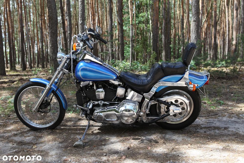 Harley-Davidson Softail - 4