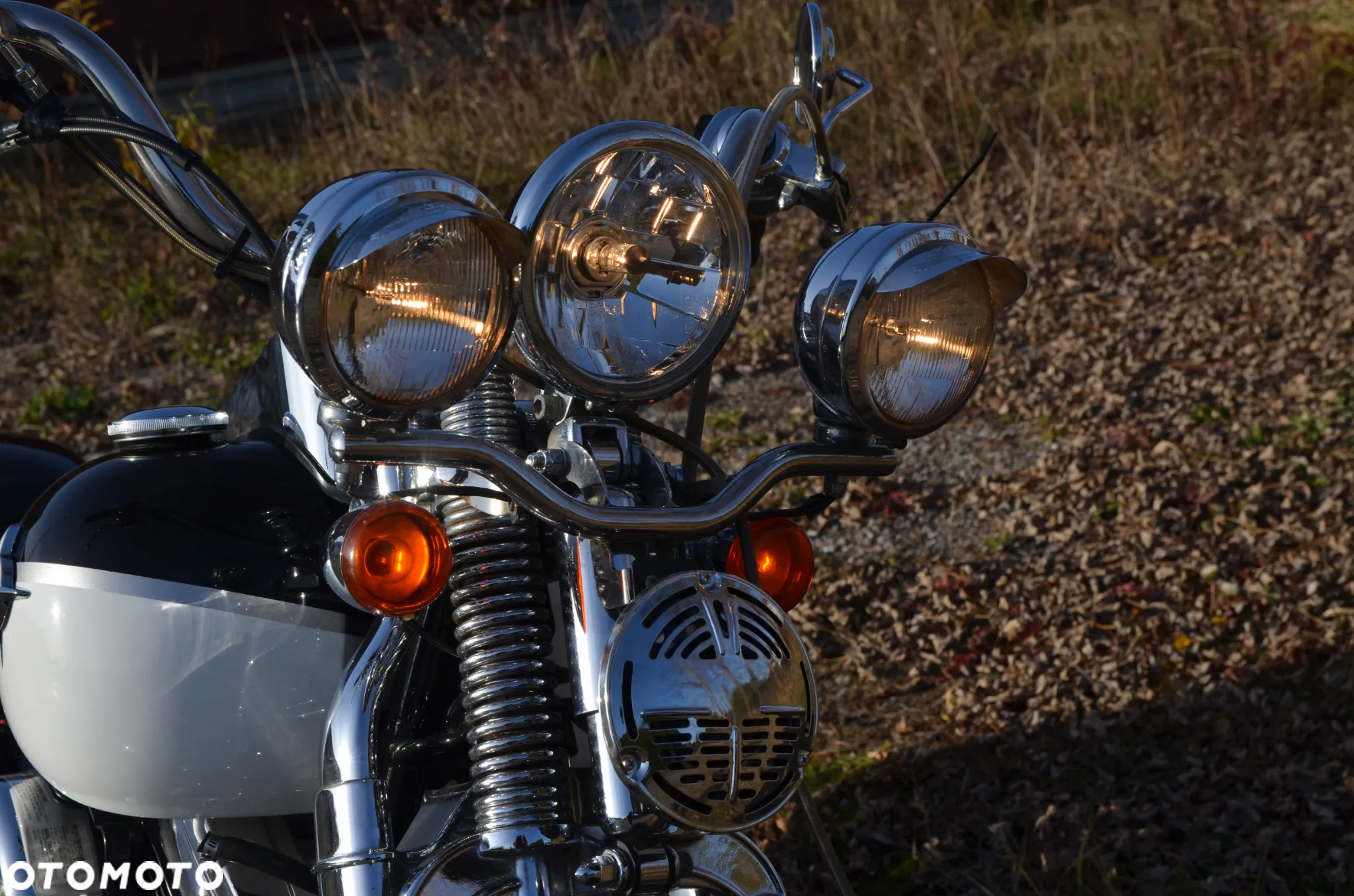 Harley-Davidson Softail Springer Classic - 24