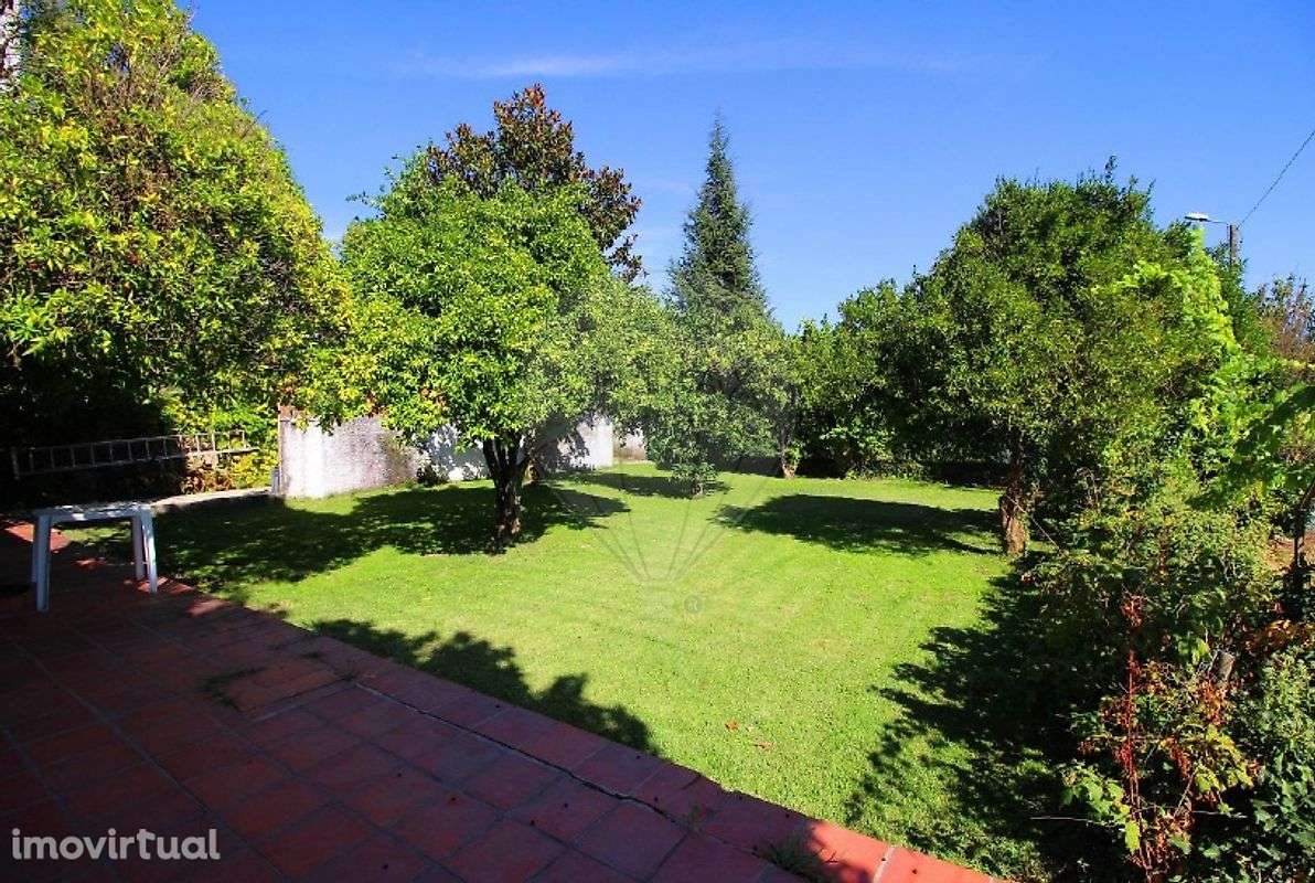 Palacete T10 para venda - Grande imagem: 5/46