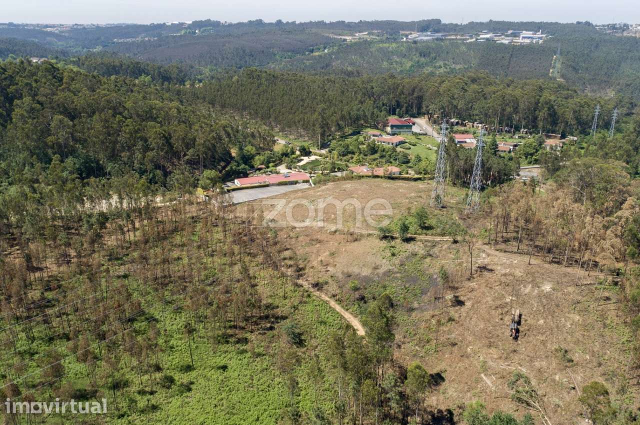 Terreno florestal com capacidade construtiva - Santa Maria da Feira - Grande imagem: 3/36