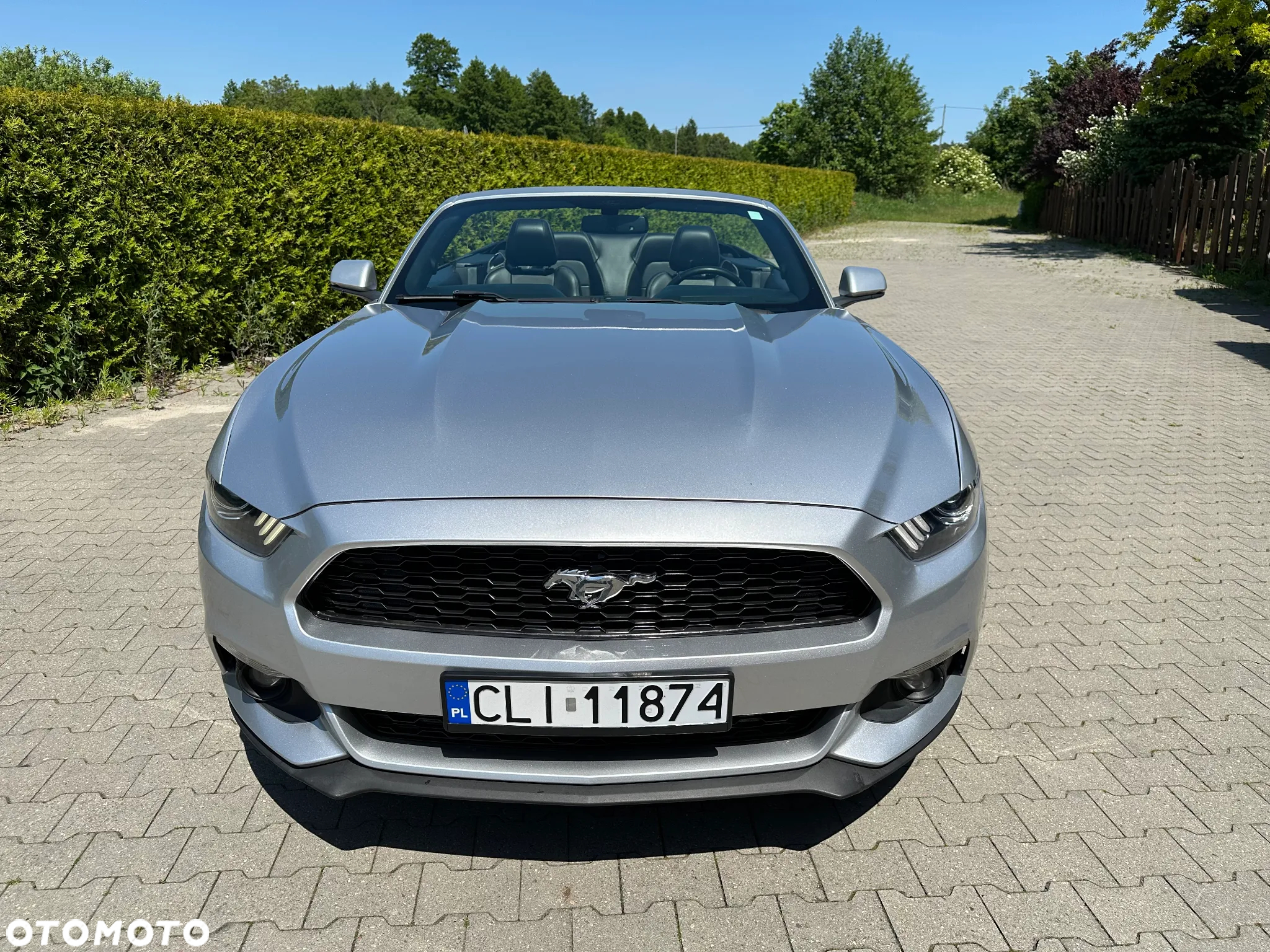 Ford Mustang Cabrio 2.3 Eco Boost - 3