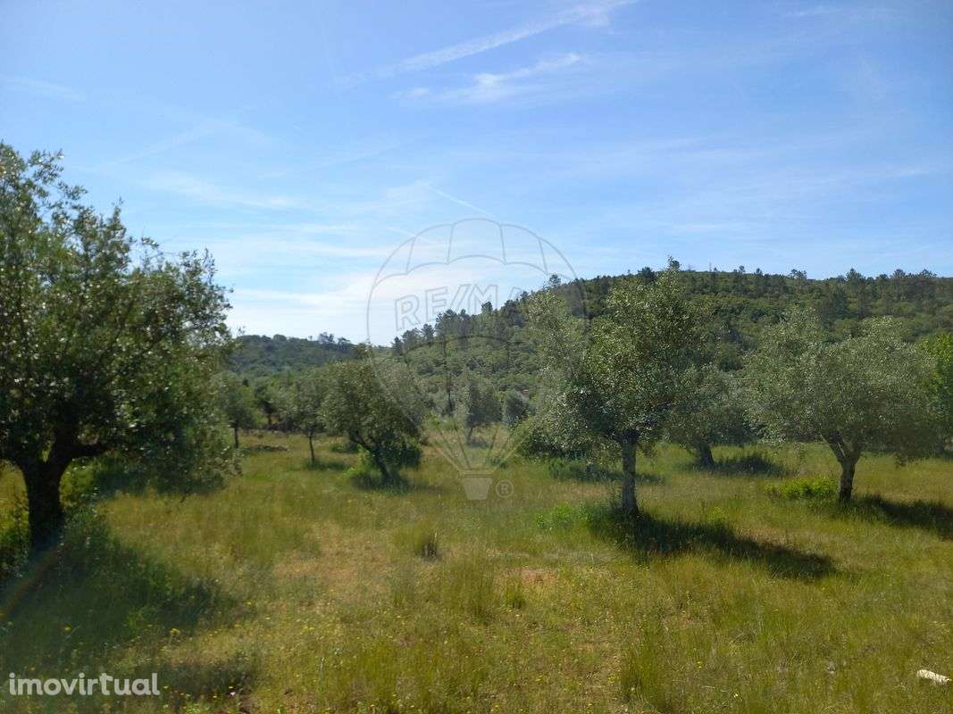 Moradia T2 para venda - Grande imagem: 4/18