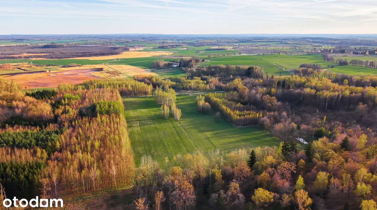 Działka rolno-budowlana w malowniczej okolicy - lasy i jeziora - Pełny obrazek: 5/12