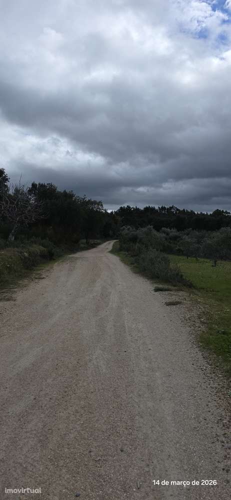 Terreno rústico 11.163m² com casa em ruínas, poço em pedra, ribeiro - Grande imagem: 3/18