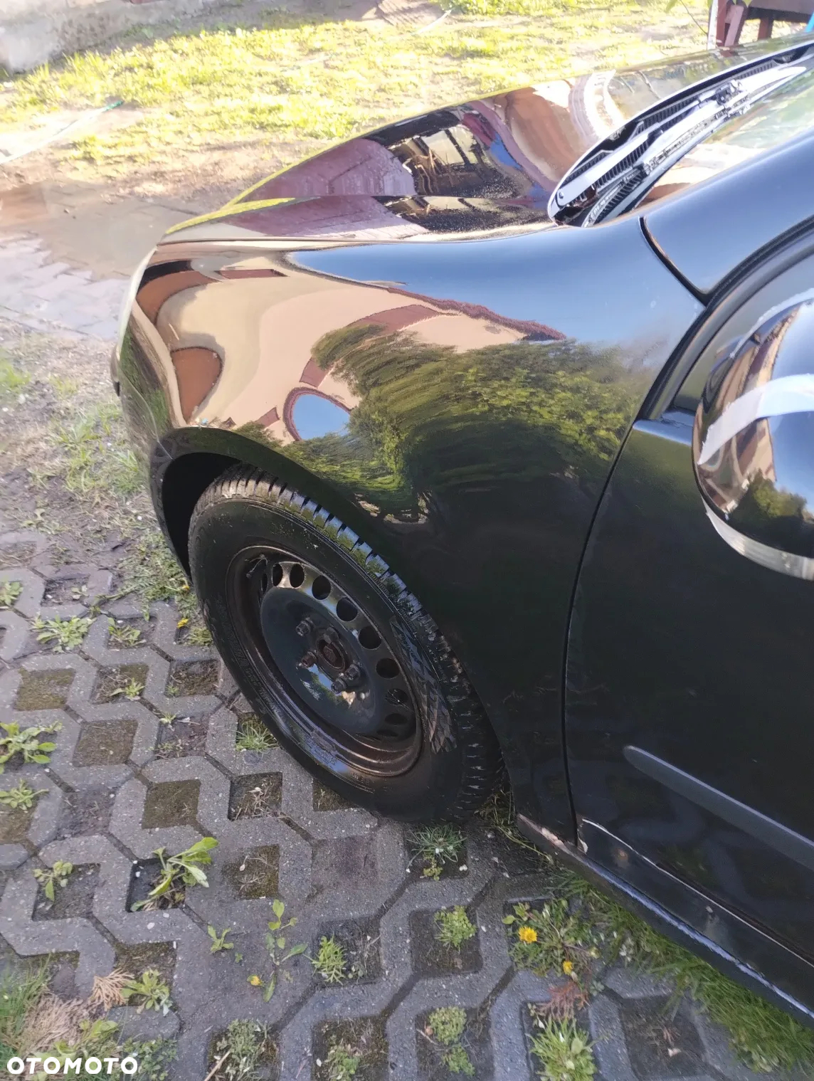Volkswagen Golf - 8