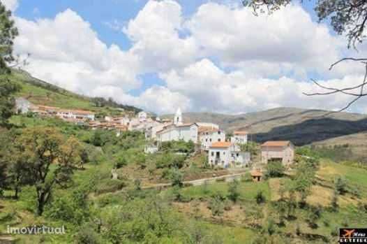 Terreno  Vidual de Cima - Pampilhosa da serra - Grande imagem: 3/11