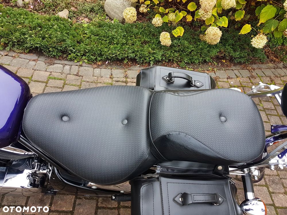 Kawasaki Vulcan - 18