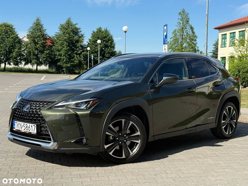 Lexus UX 250h F Sport 2WD - 14