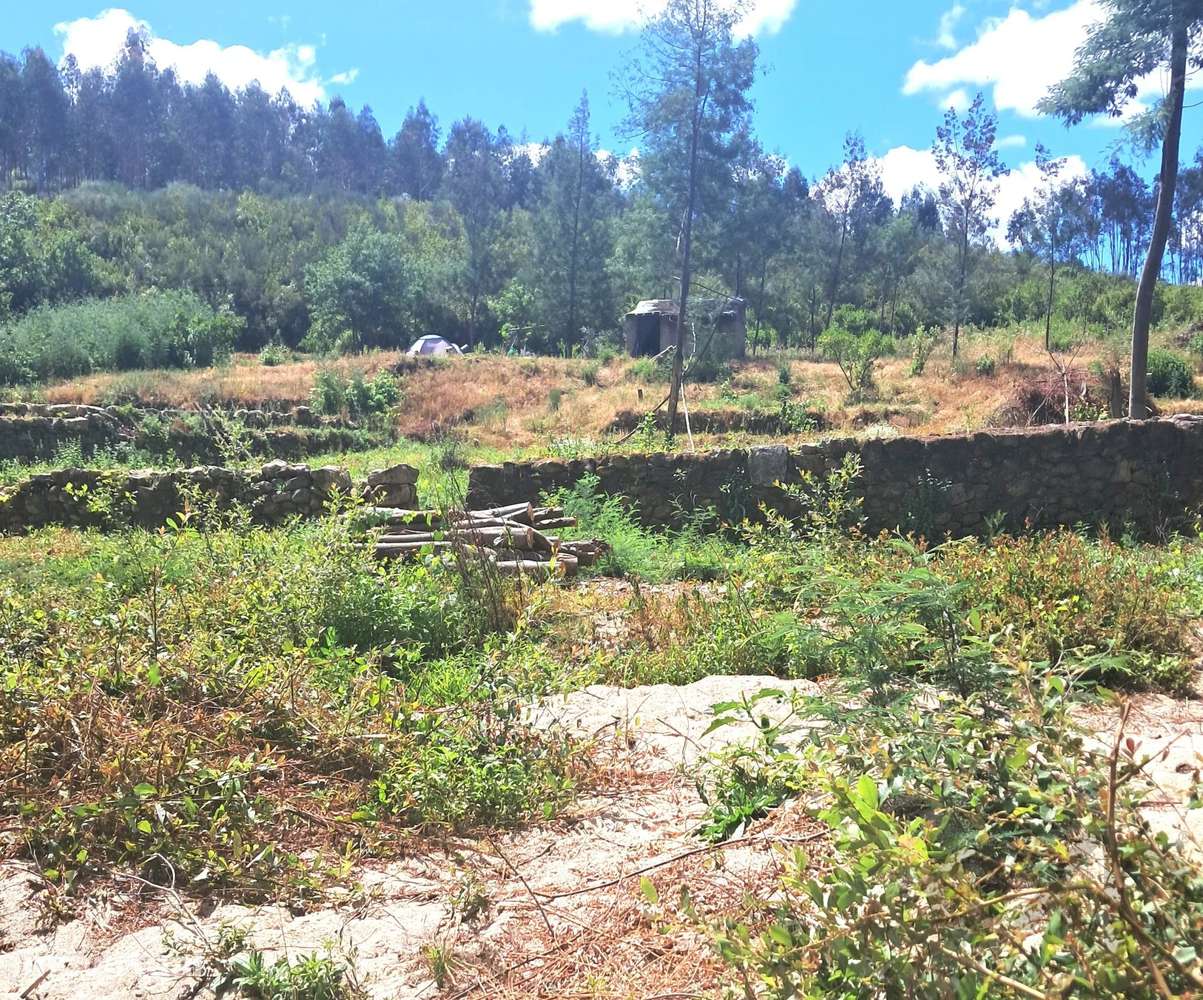 Terreno Rústico com Frente de Rio e Construção de Apoio Agrícola – Arg - View 3