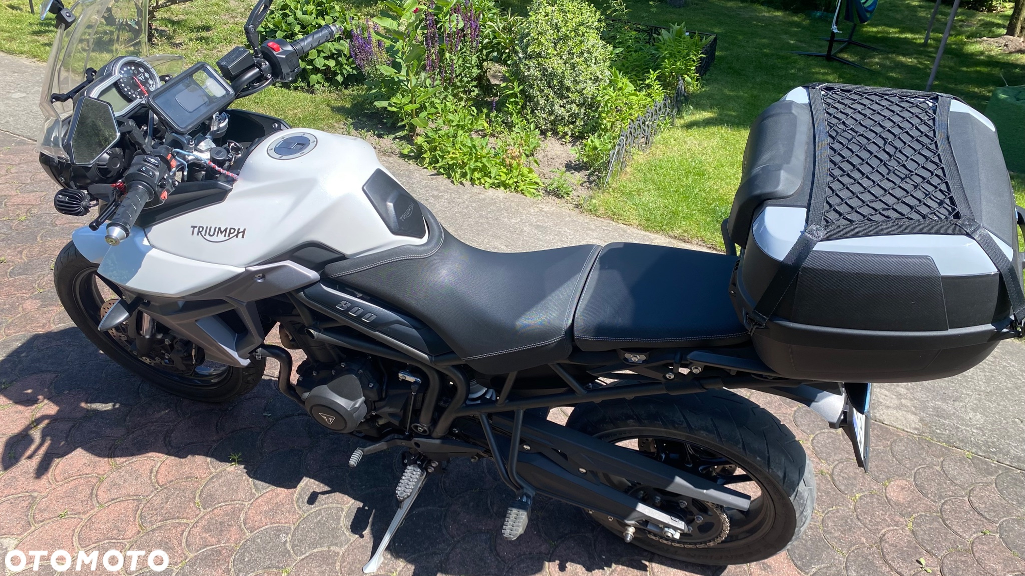 Triumph Tiger - 8