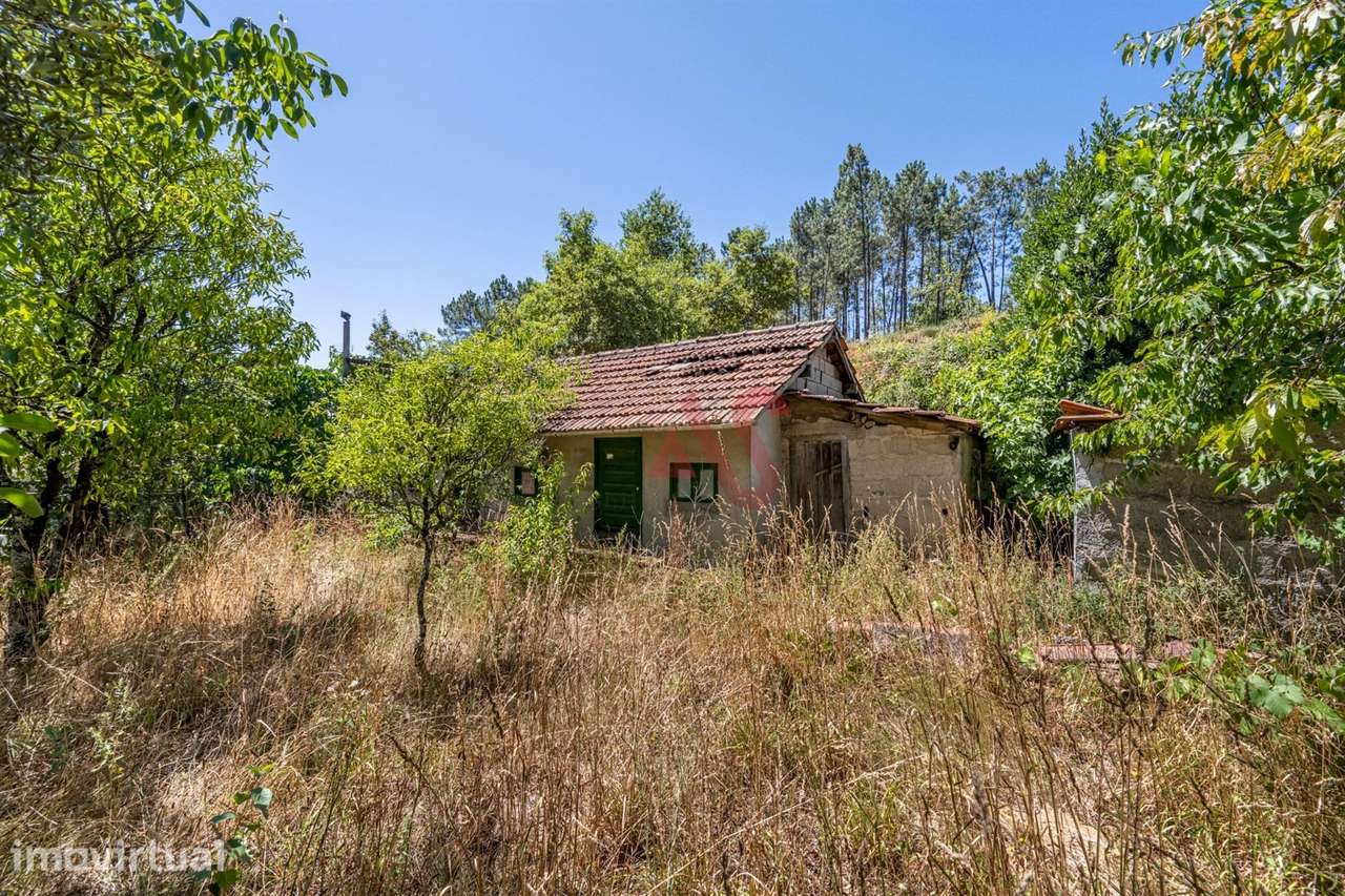 Moradia T2 em Ruína para reconstrução com terreno de 1.008 m² em Celor - Grande imagem: 4/11