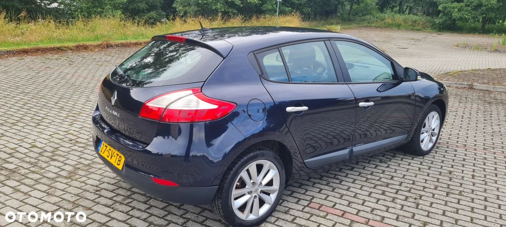 Renault Megane 1.6 16V 110 Authentique - 17