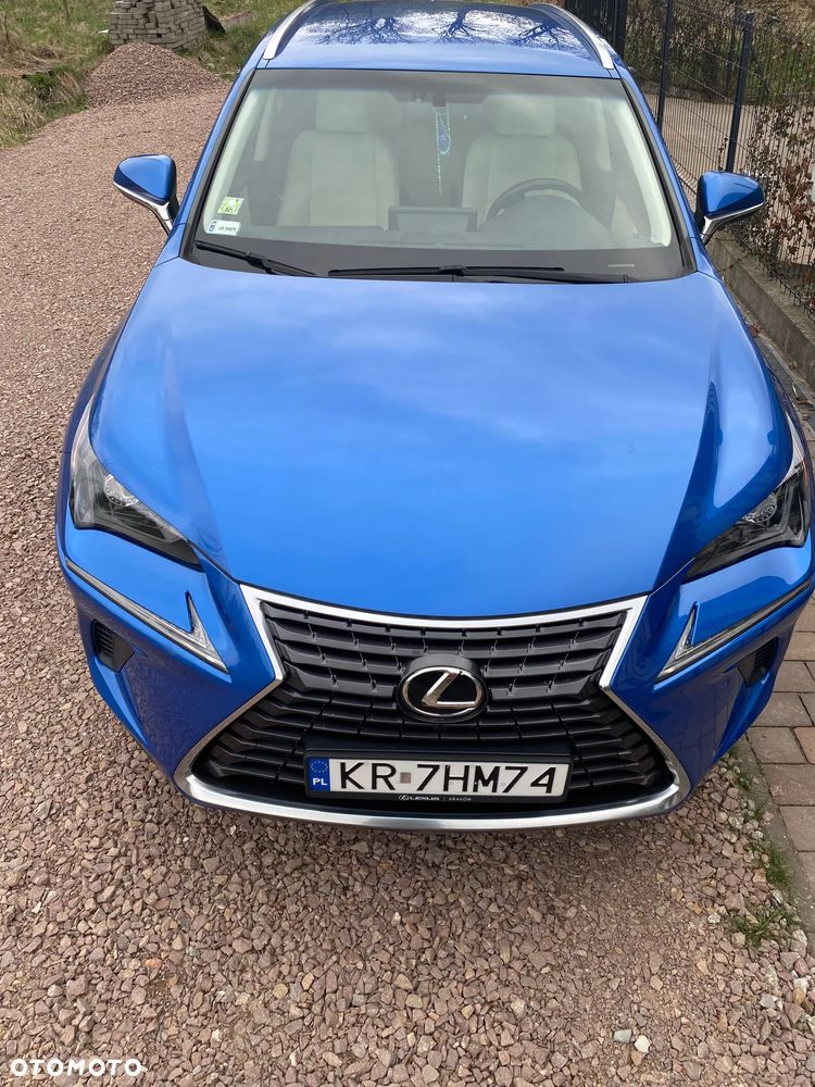 Lexus NX 300 Business Edition AWD - 4