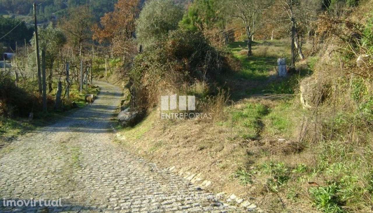 Venda Terreno, Várzea de Ovelha e Aliviada, Marco de Canaveses - Grande imagem: 2/11