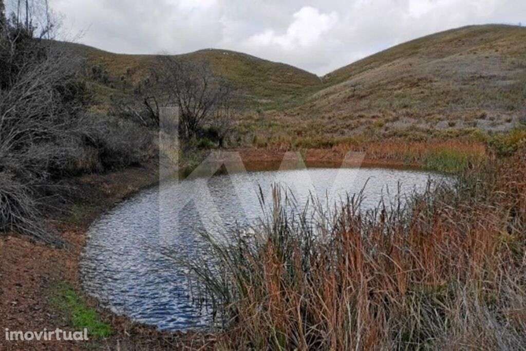 Cultura Arvense - Grande imagem: 3/10