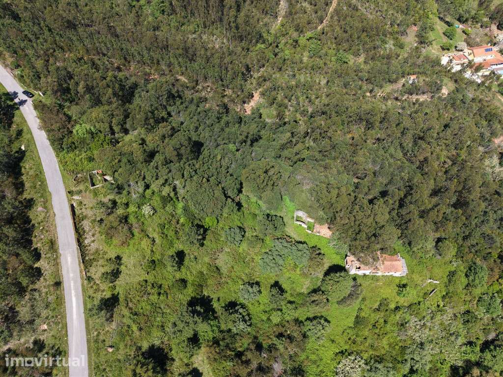 Herdade localizada na Serra da Boa Viagem na Figueira da Foz - Grande imagem: 5/8