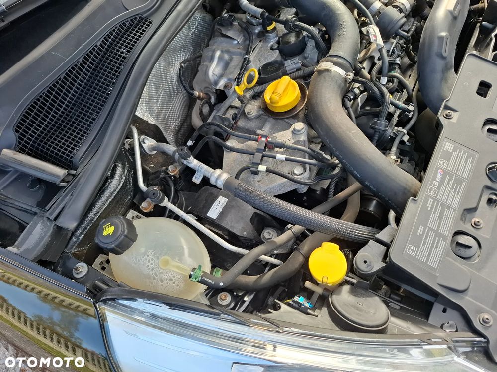 Renault Clio - 25