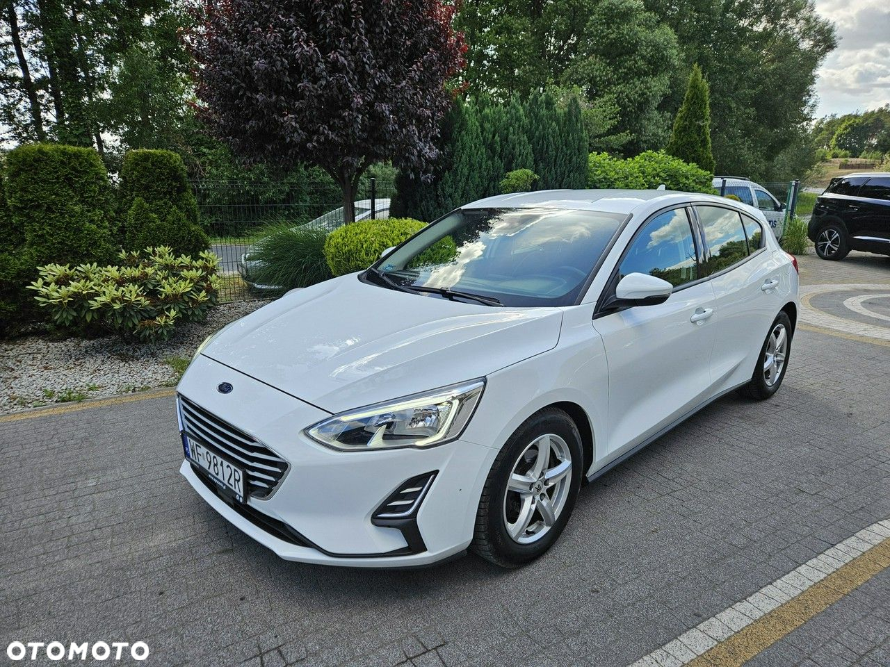 Ford Focus - 4