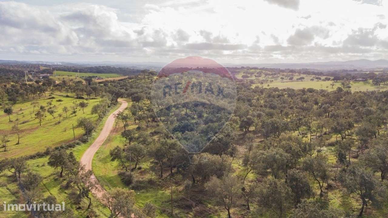 Terreno  para venda - Grande imagem: 2/13