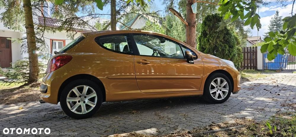 Peugeot 207 - 10