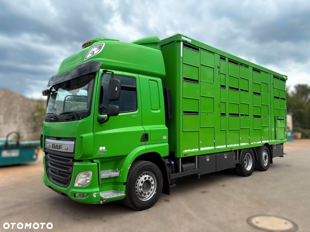 DAF CF 440 6x2 | Transport Zwierząt | KA-BA 3 Poziomy | Euro 6 | Automat | 2017 r - 1