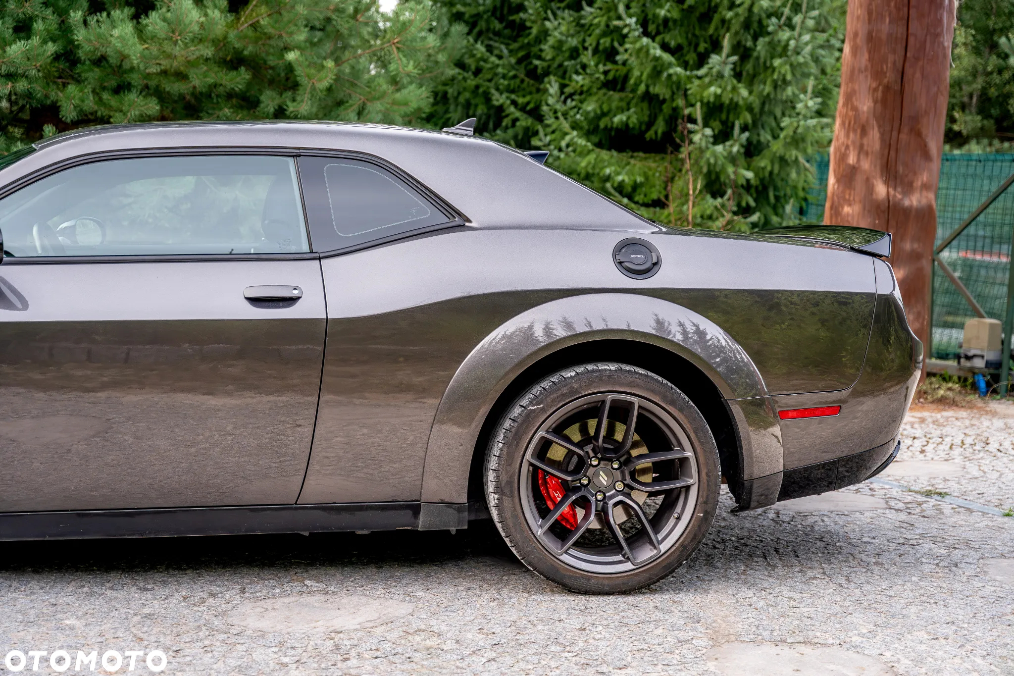 Dodge Challenger 6.4 Scat PackWidebody - 18