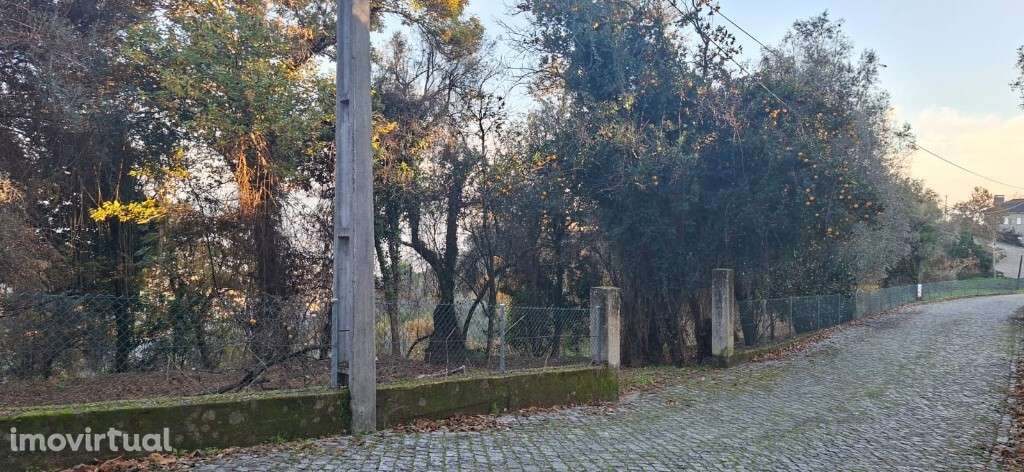 Vende-se Terreno Agrícola, Paredes -Secas  - Amares - Grande imagem: 5/35