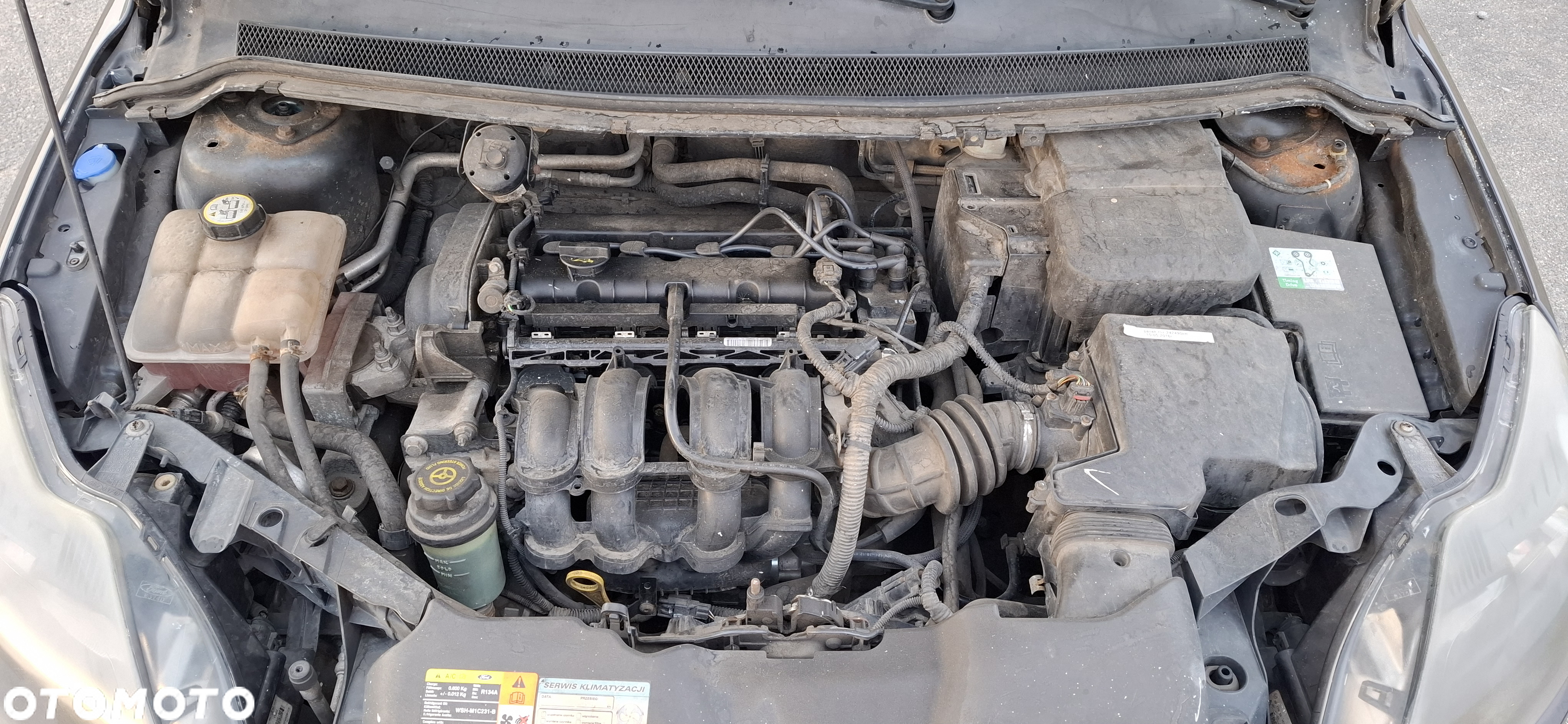Ford Focus 1.6 Ghia - 9
