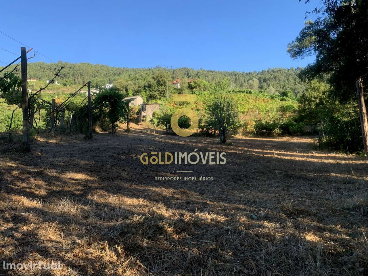 Terreno em Travanca - Cinfães - Grande imagem: 5/12