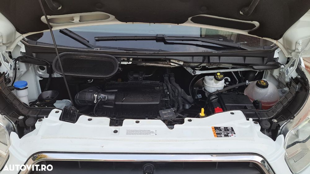 Ford Transit - 20