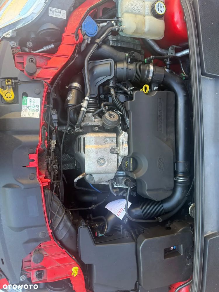 Ford Focus - 14