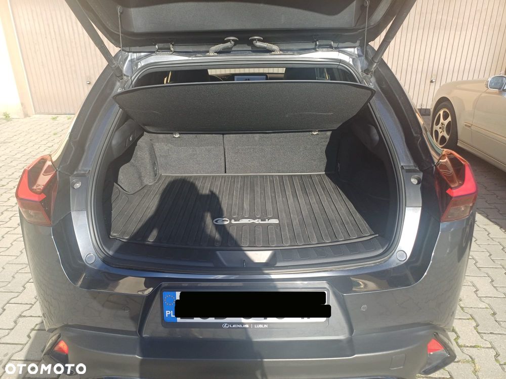 Lexus UX 250h GPF F Sport 2WD - 11