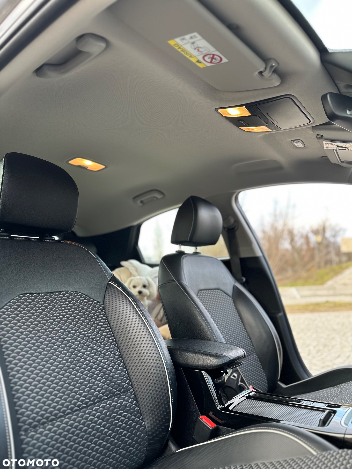 Kia XCeed 1.5 T-GDI L Business Line DCT - 27